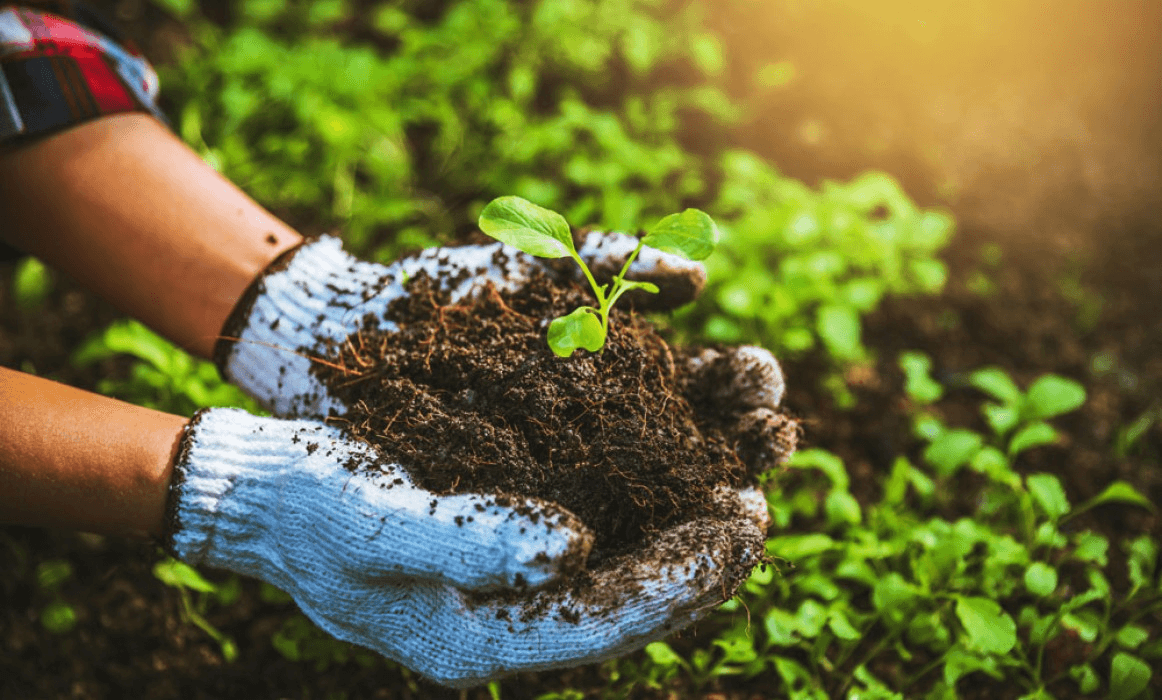 Smart AI Farm Management System